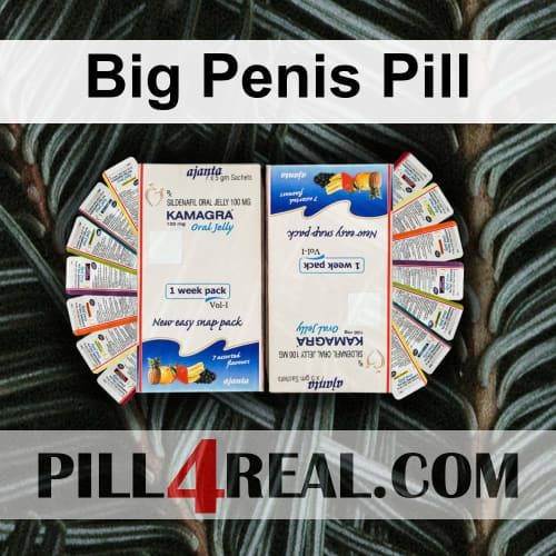 Big Penis Pill 512