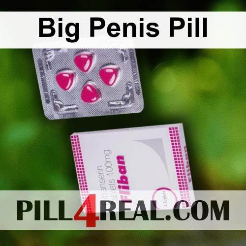 Big Penis Pill 784