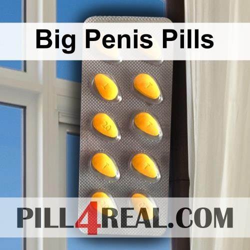 Big Penis Pills 186