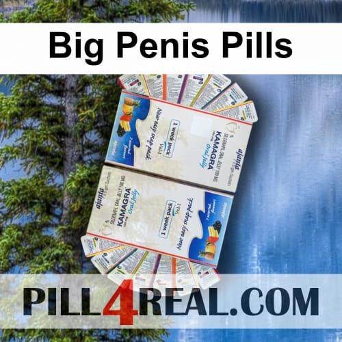 Big Penis Pills 822