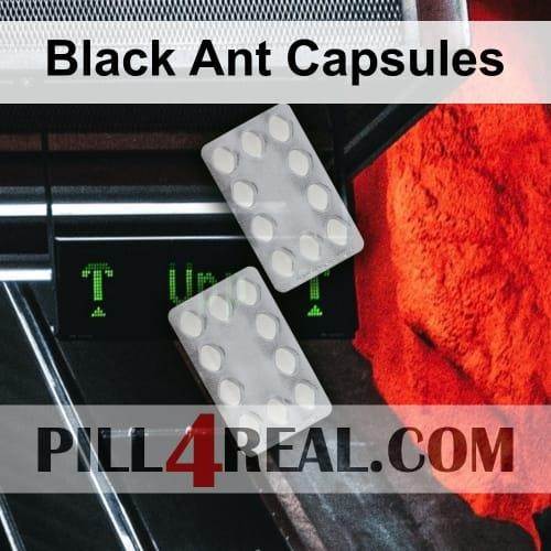 Black Ant Capsules 082