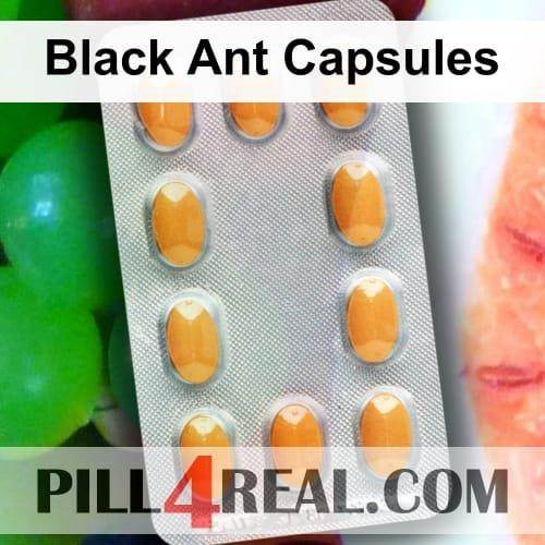 Black Ant Capsules 310