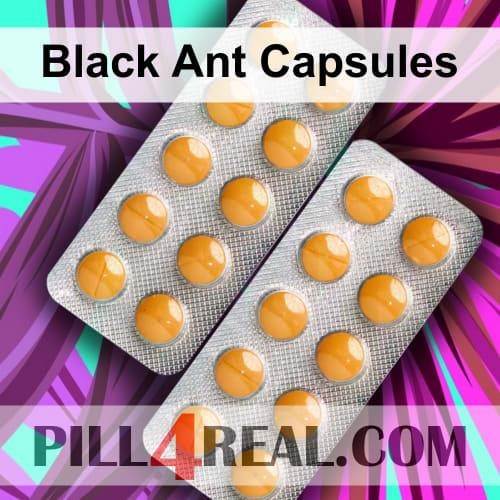Black Ant Capsules 529