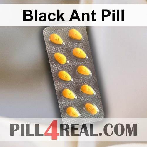 Black Ant Pill 606