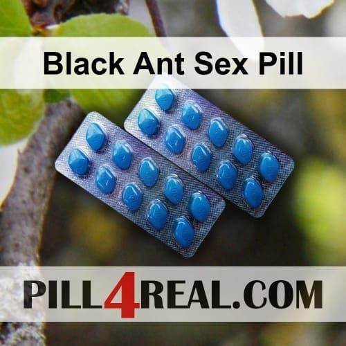 Black Ant Sex Pill 081