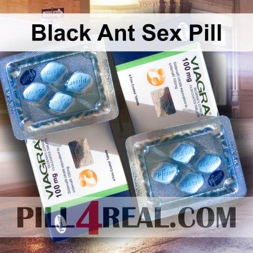 Black Ant Sex Pill 231