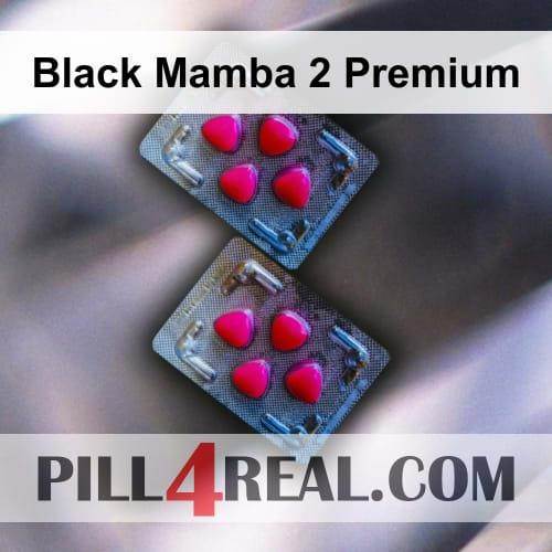 Black Mamba 2 Premium 004