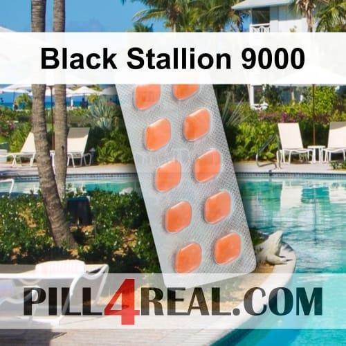 Black Stallion 9000 201