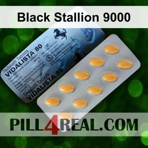 Black Stallion 9000 234