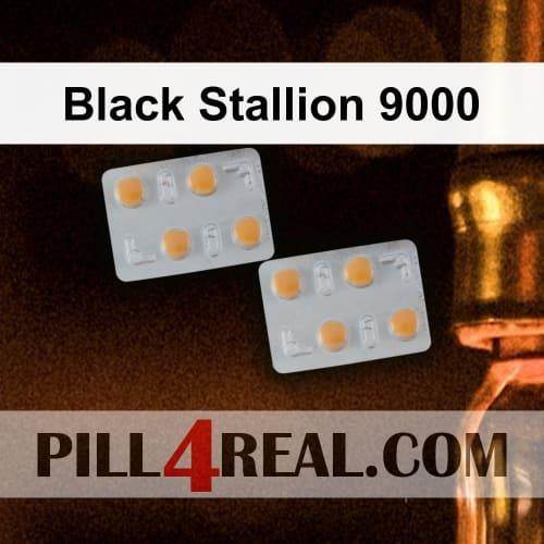 Black Stallion 9000 708