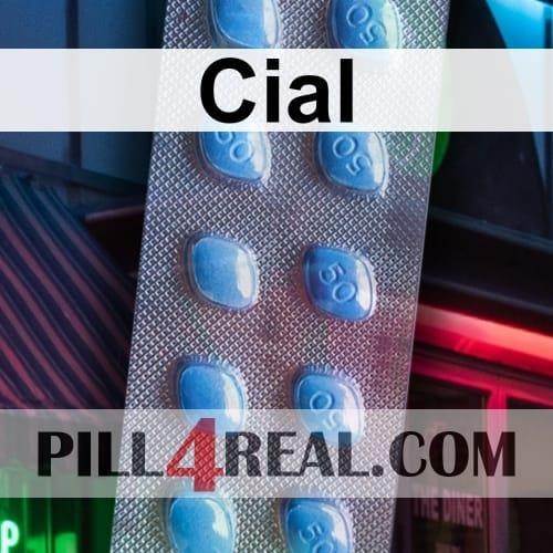 Cial 008