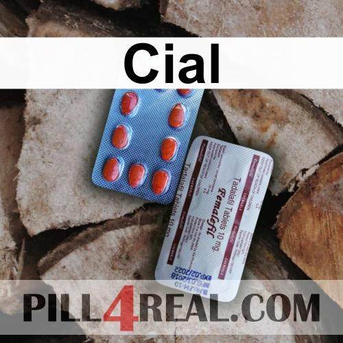 Cial 292