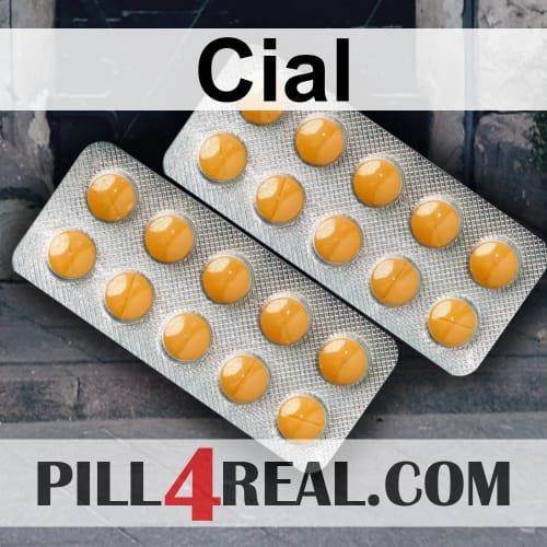 Cial 328