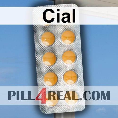 Cial 363
