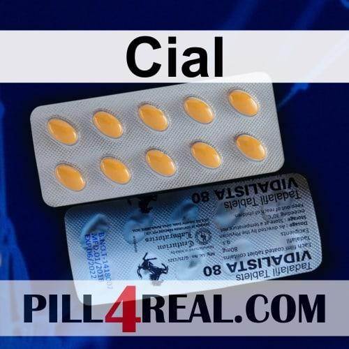 Cial 417