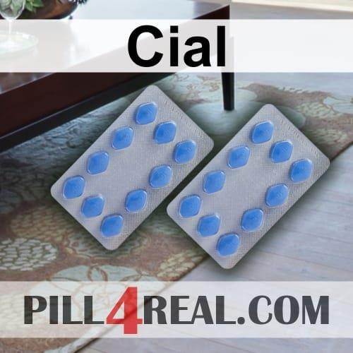 Cial 513