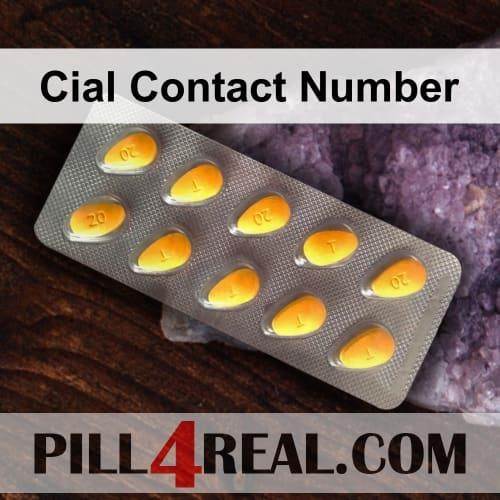 Cial Contact Number 229