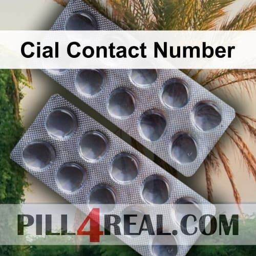 Cial Contact Number 656