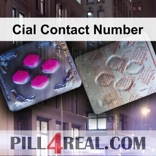Cial_Contact_Number_736.jpg