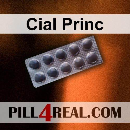 Cial Princ 456