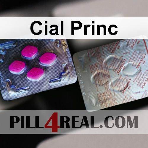 Cial Princ 743