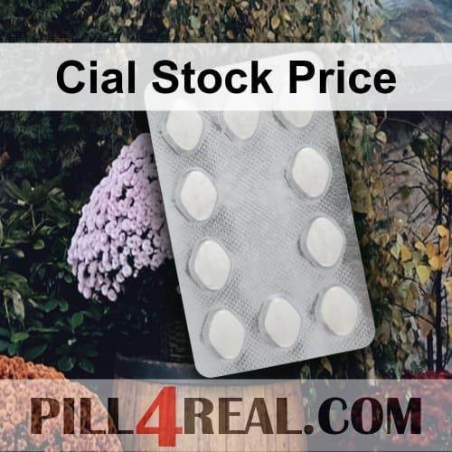Cial Stock Price 945