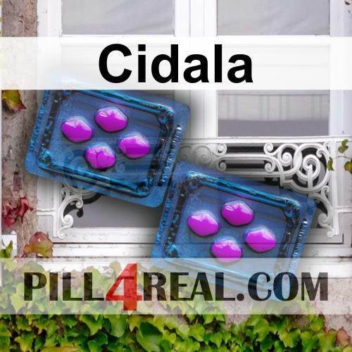 Cidala 134