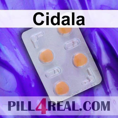 Cidala 747