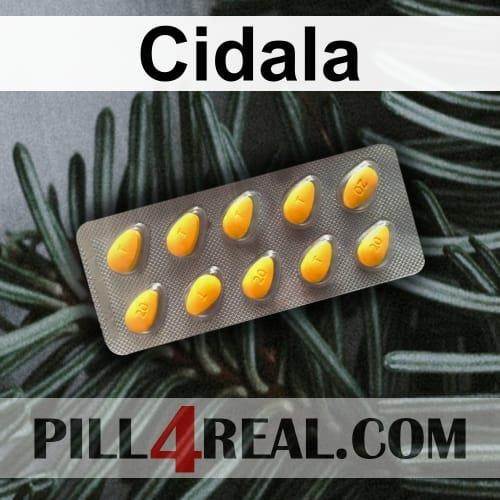 Cidala 787