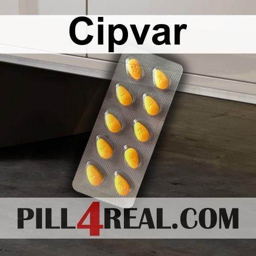 Cipvar 544