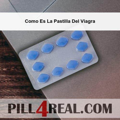 Como Es La Pastilla Del Viagra 559