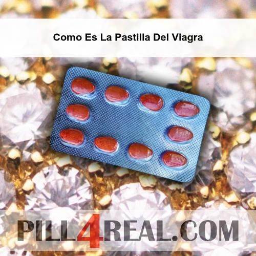 Como Es La Pastilla Del Viagra 586