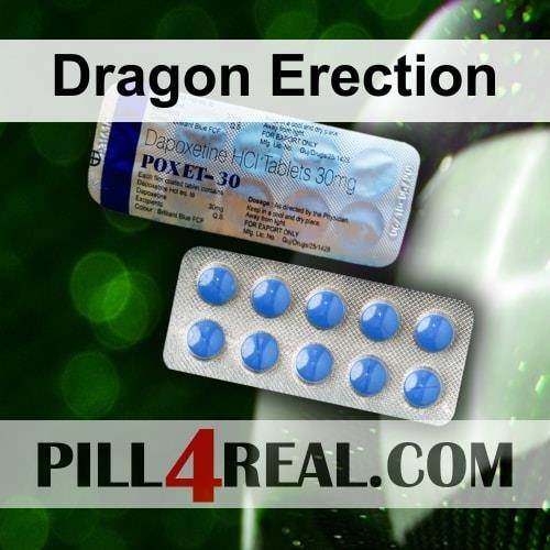 Dragon Erection 117