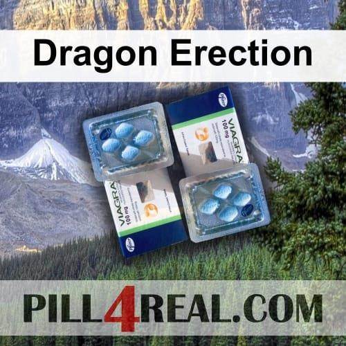 Dragon Erection 365