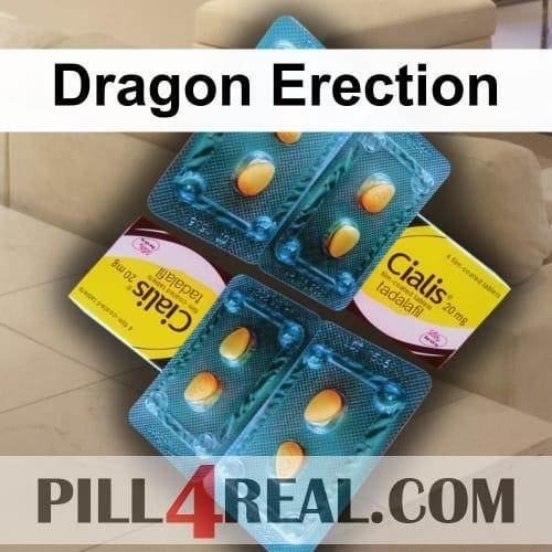 Dragon Erection 500