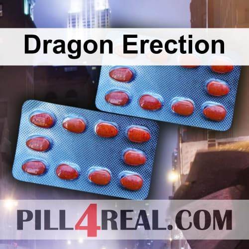 Dragon Erection 708