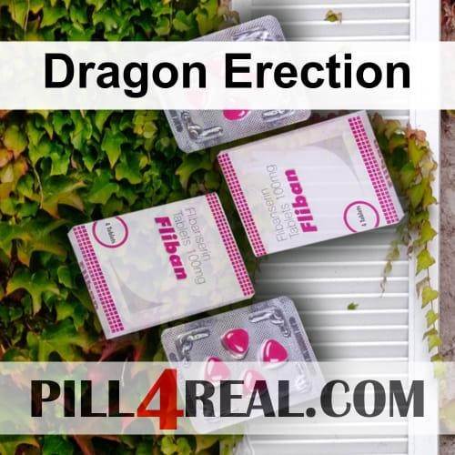 Dragon Erection 888