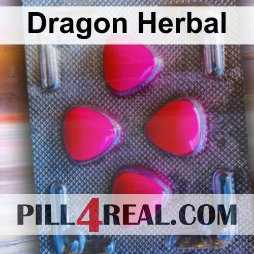 Dragon Herbal 542