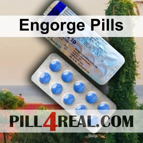 Engorge Pills 316