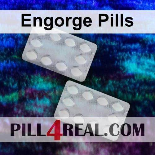 Engorge Pills 426