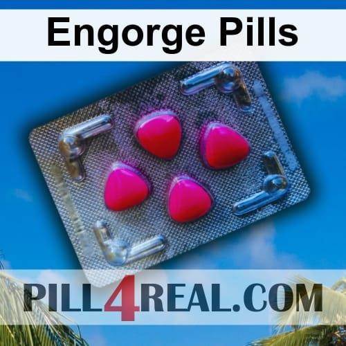Engorge Pills 462