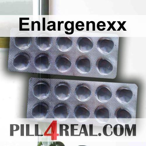 Enlargenexx 123