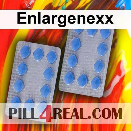 Enlargenexx 290