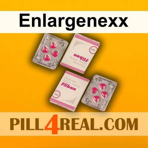 Enlargenexx 305