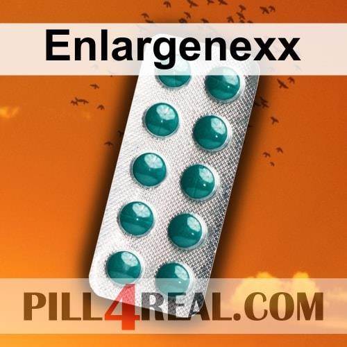 Enlargenexx 511