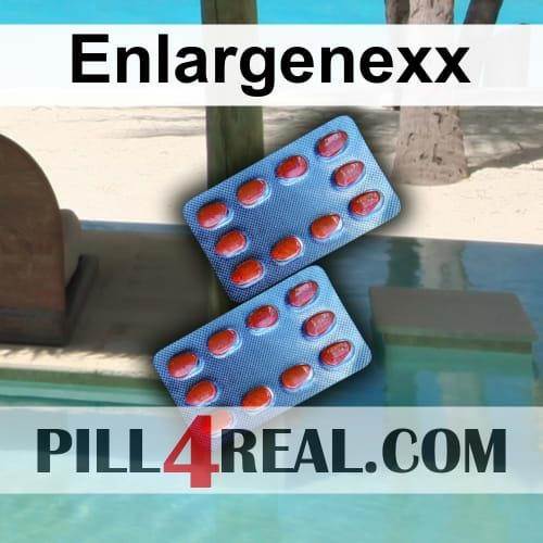 Enlargenexx 798