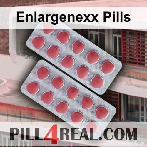 Enlargenexx Pills 019