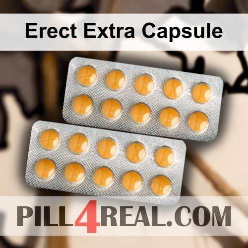 Erect Extra Capsule 212