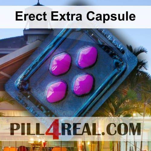 Erect Extra Capsule 240