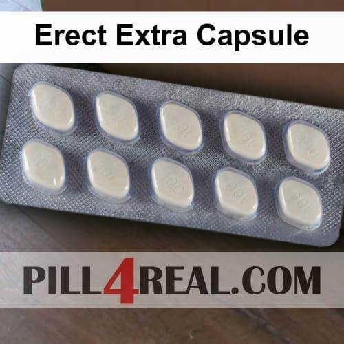 Erect Extra Capsule 450